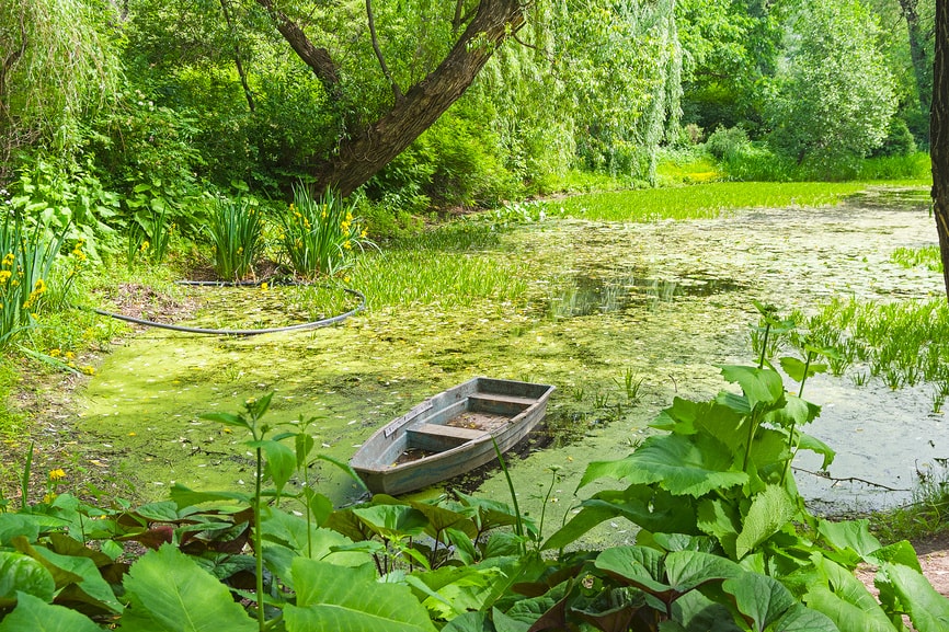 аптекарский огород